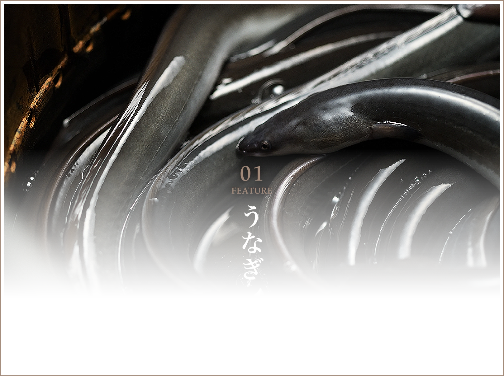 うなぎ